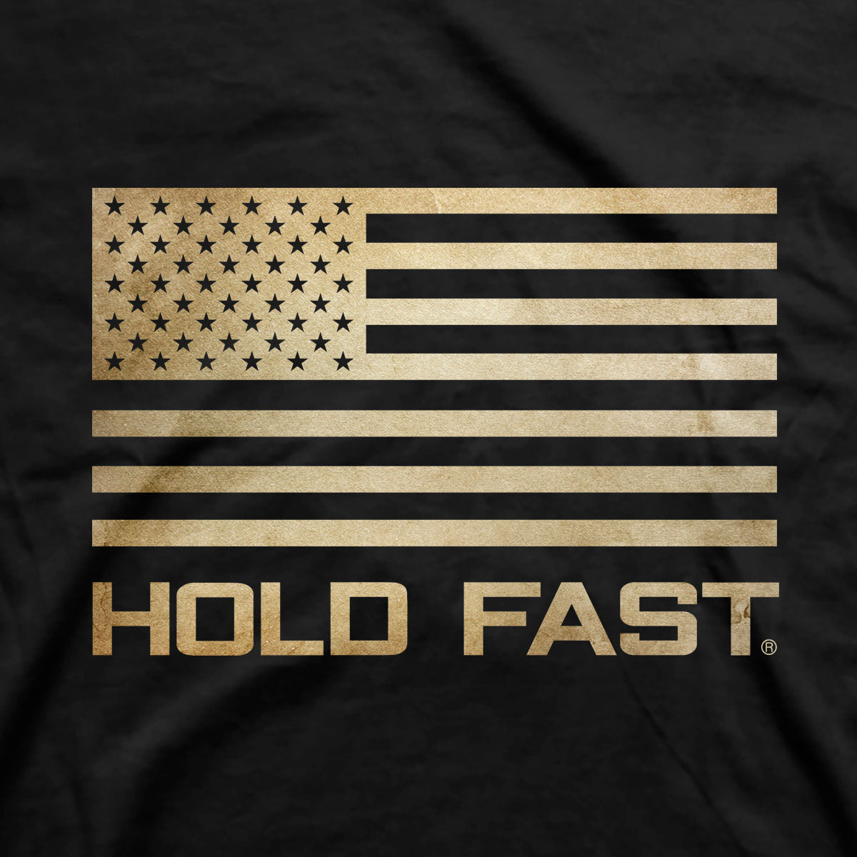 HOLD FAST Mens T-Shirt The Constitution